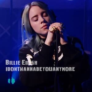 Billie Eilish I dont wanna be you anymore