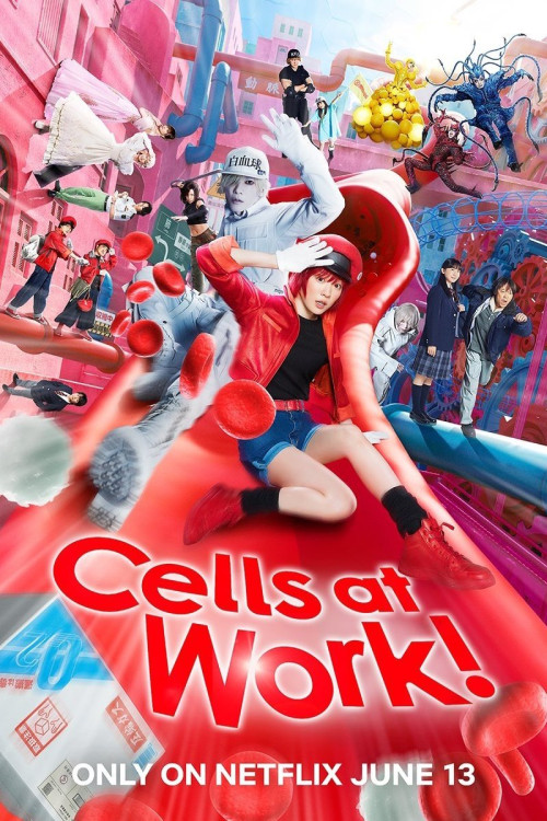 Cells at Work!