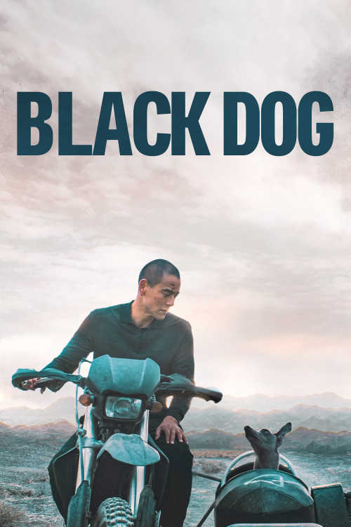 Black Dog | سگ سیاه