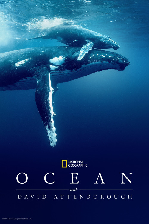 Ocean with David Attenborough | اقیانوس با دیوید اتنبرو