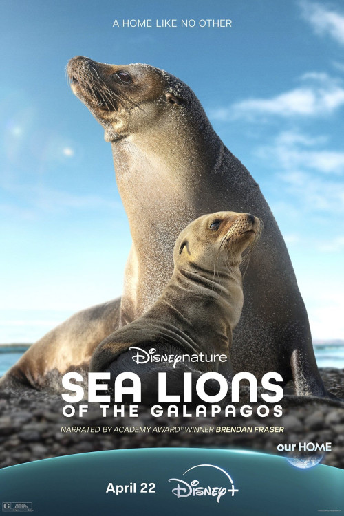 Sea Lions of the Galapagos | شیرهای دریایی گالاپاگوس