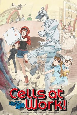 دانلود انیمه Cells at Work! - سلول ها در حال کار (2018)